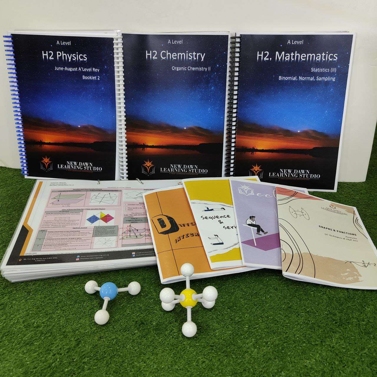 New Dawn Learning Studio's PCM Methodology
